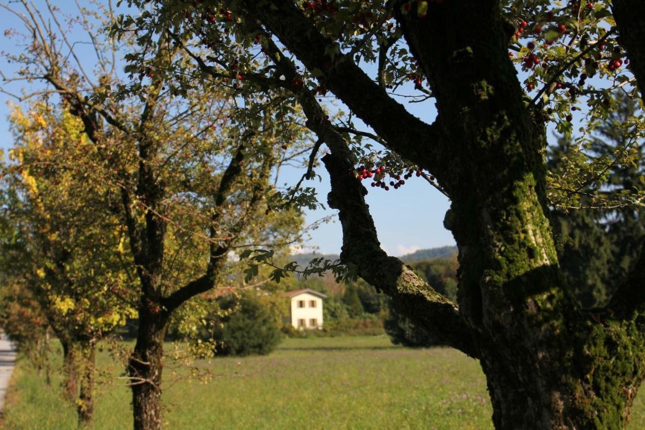 L'Antica Corte Lazzago Rooms Como Eksteriør bilde
